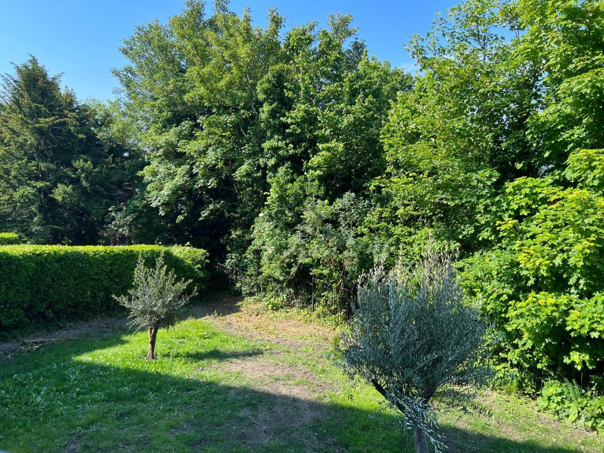 Luxury Garden Apartment Under The Castle, Dover Zewnętrze zdjęcie